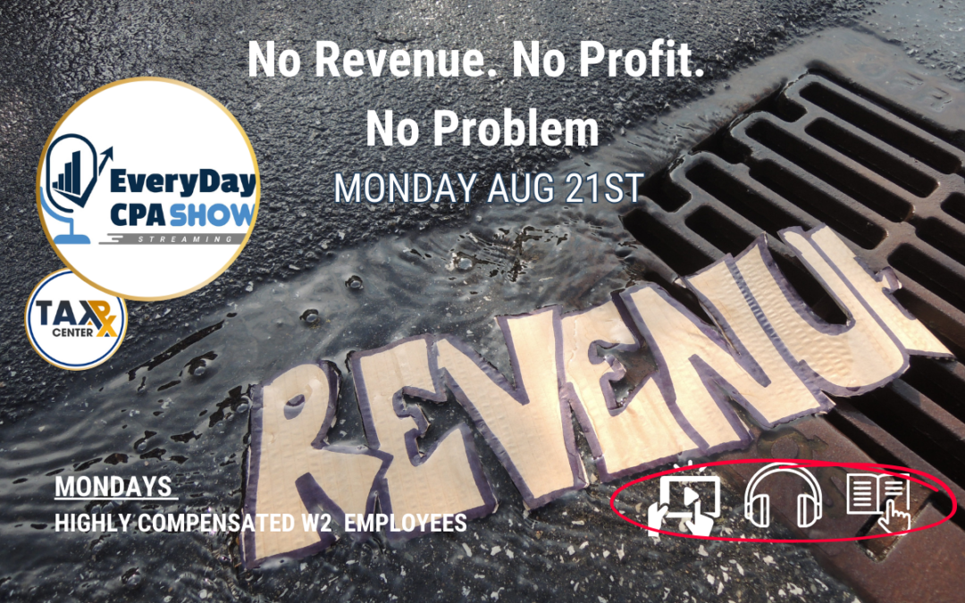 W2 Employees: No Revenue. No Profit. No Problem, Episode 31